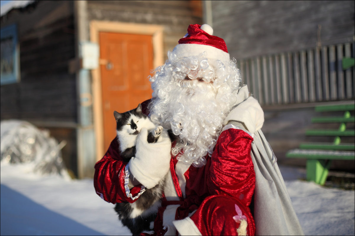 Дед Мороз с котом